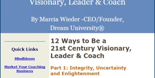 21st Century Visionary - Part 1 - Integrity, Uncertainty and Enlightenment - Choice Magazine